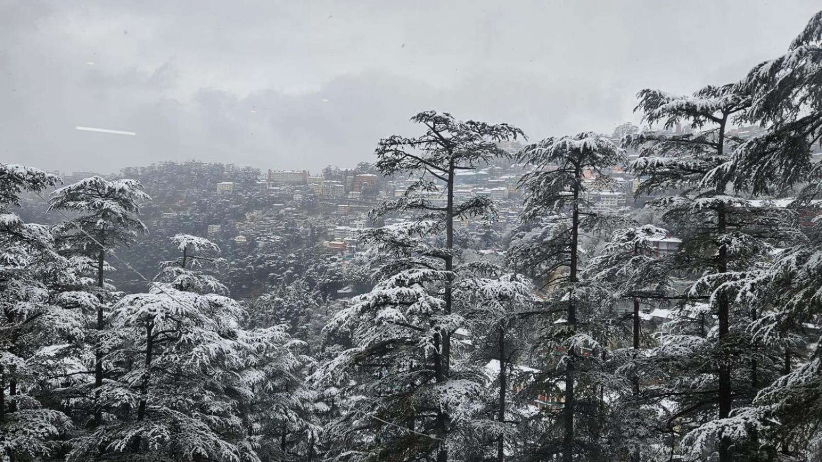 Mountain Zest- Simla Royale Near Mall Road Free Pickup From Railway Station Simla Esterno foto